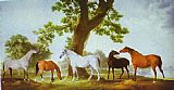 Oak Canvas Paintings - Mares by an Oak-Tree